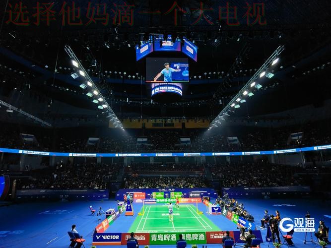 万博体育平台入口畅享精彩赛事体验